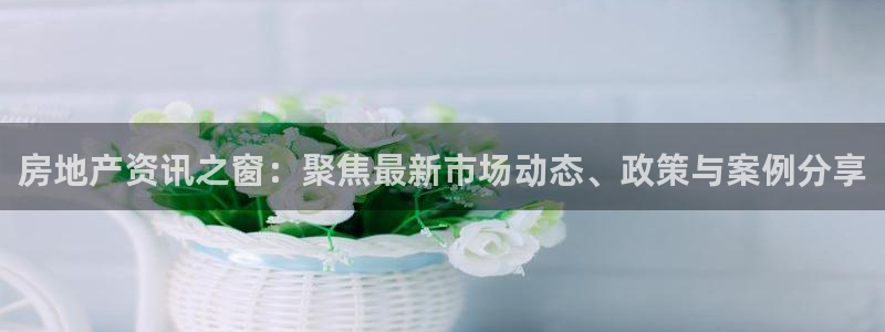 风暴娱乐套路：房地产资讯之窗：聚焦最新市场动态、政策与案例分