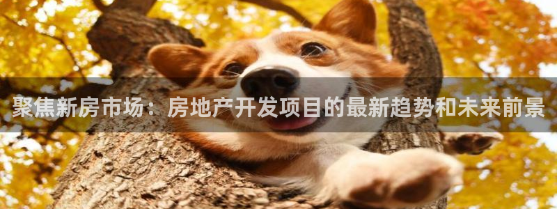 娱乐风暴开头：聚焦新房市场：房地产开发项目的最新趋势和未来前
