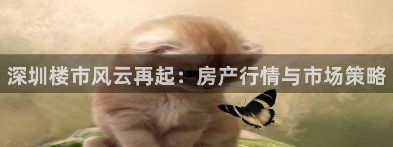 万万娱乐风暴：深圳楼市风云再起：房产行情与市场策略