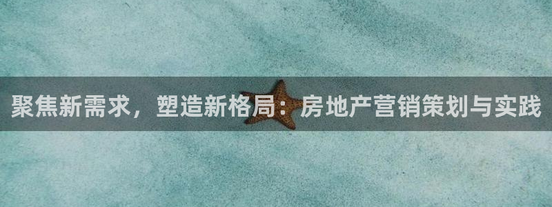 风暴娱乐园：聚焦新需求，塑造新格局：房地产营销策划与实践