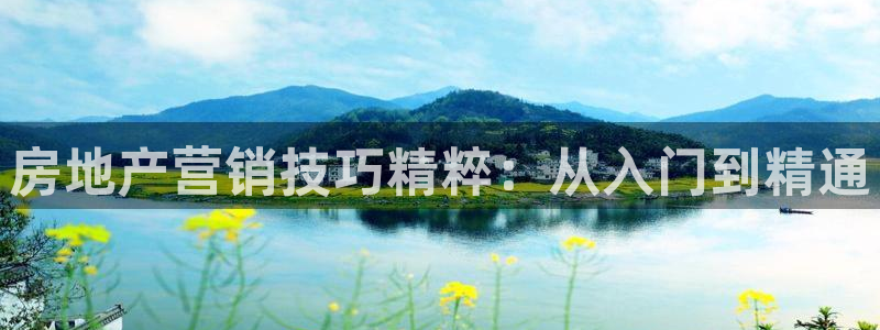风暴娱乐官方网站：房地产营销技巧精粹：从入门到精通