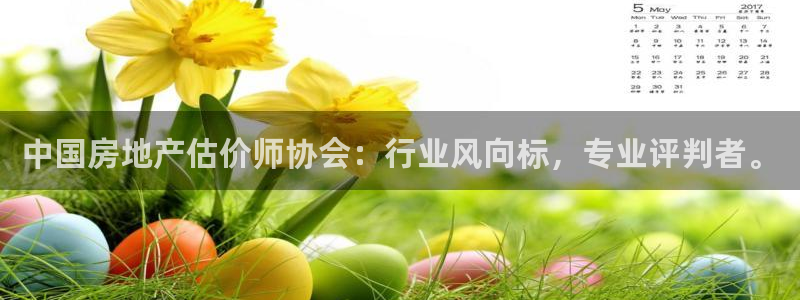 娱乐风暴港：中国房地产估价师协会：行业风向标，专业评判者。