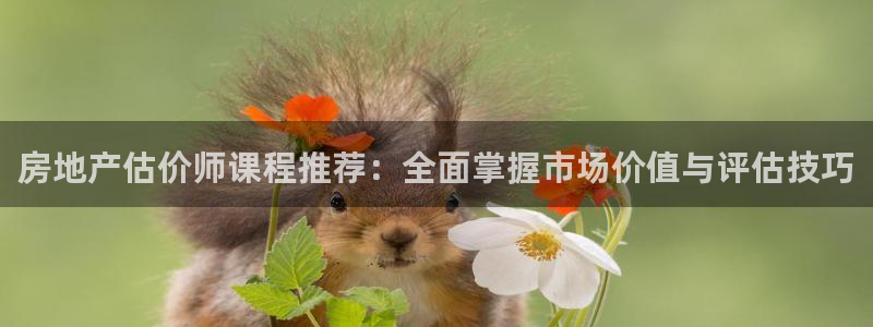 风暴娱乐拉菲8：房地产估价师课程推荐：全面掌握市场价值与评估