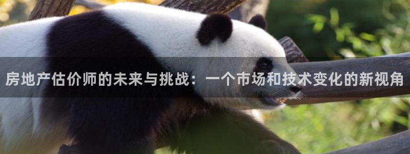 风暴娱乐下载：房地产估价师的未来与挑战：一个市场和技术变化的