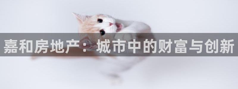 风暴娱乐：嘉和房地产：城市中的财富与创新