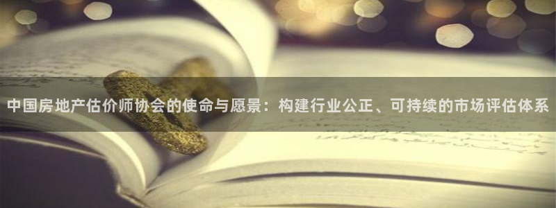 风暴娱乐拉菲8：中国房地产估价师协会的使命与愿景：构建行业公