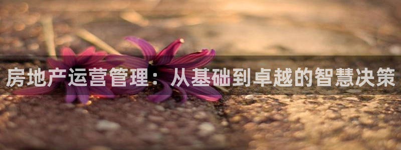 风暴娱乐登录网址：房地产运营管理：从基础到卓越的智慧决策