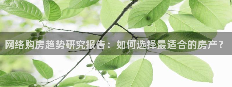 风暴娱乐开户：网络购房趋势研究报告：如何选择最适合的房产？