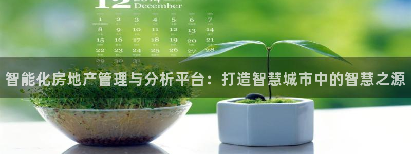 风暴娱乐 平台首页：智能化房地产管理与分析平台：打造智慧城市