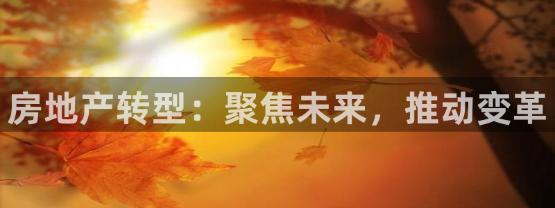 下载风暴娱乐：房地产转型：聚焦未来，推动变革