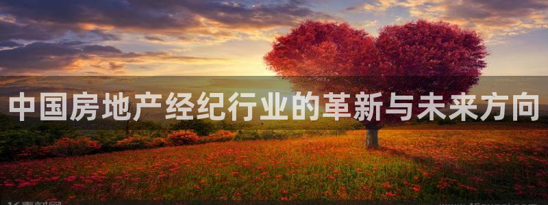 4120051风暴娱乐：中国房地产经纪行业的革新与未来方向