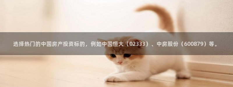 风暴娱乐去人l8888：选择热门的中国房产投资标的，例如中国