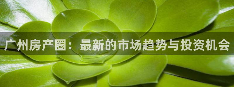 风暴娱乐左5指尖：广州房产圈：最新的市场趋势与投资机会