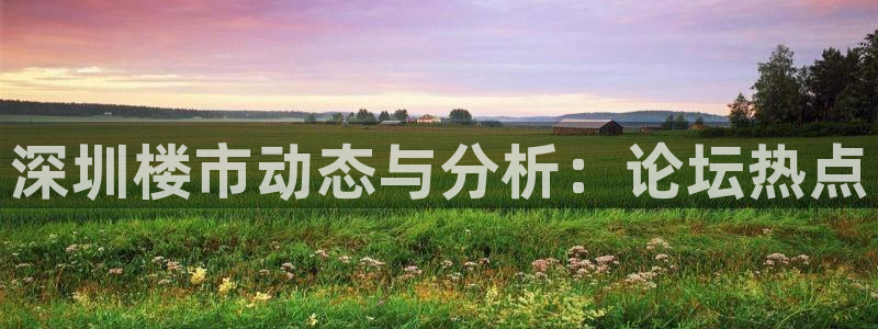 风暴娱乐平台地址：深圳楼市动态与分析：论坛热点