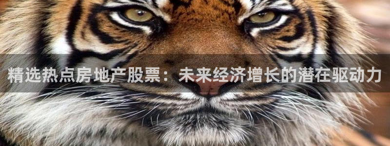 风暴娱乐乃六七五一38：精选热点房地产股票：未来经济增长的潜